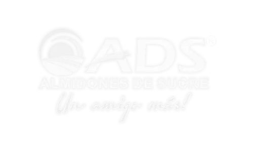 Aduditing Consulting