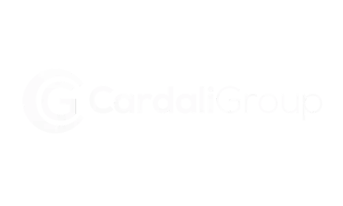 Aduditing Consulting