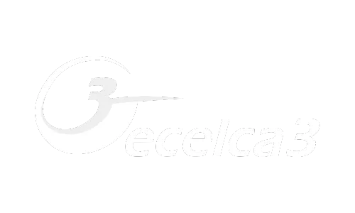 Aduditing Consulting