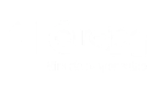 Aduditing Consulting