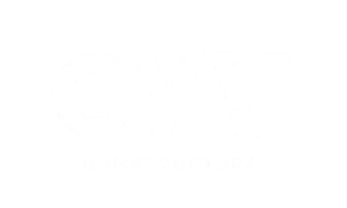 Aduditing Consulting