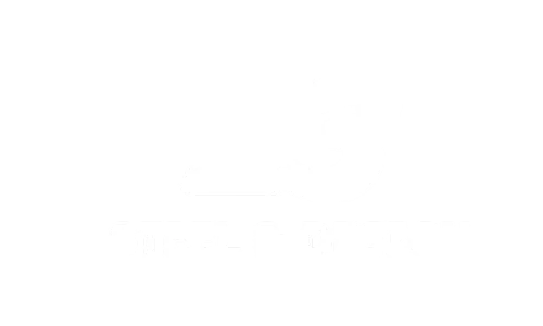 Aduditing Consulting