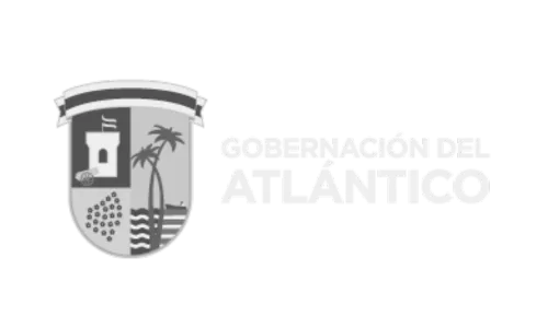 Aduditing Consulting