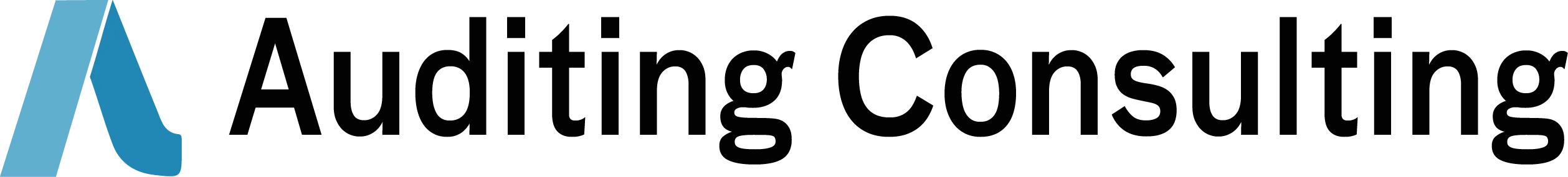 Auditing Logo